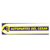 AUTOPARTES DEL CESAR